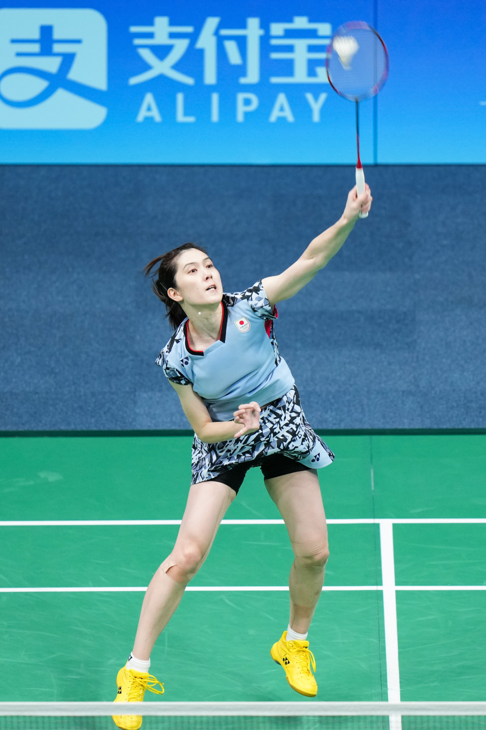 你需要我接 你需要我接