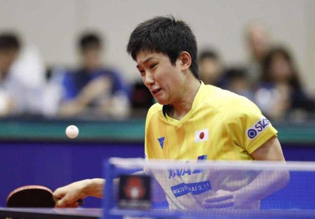 在提供快速 在提供快速