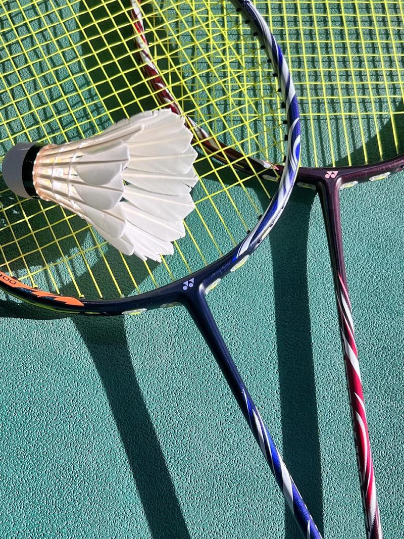 乐天金鹰 乐天金鹰